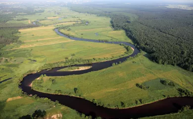 zdjęcie przedstawia rzekę Pilicę i jej zakola z lotu ptaka